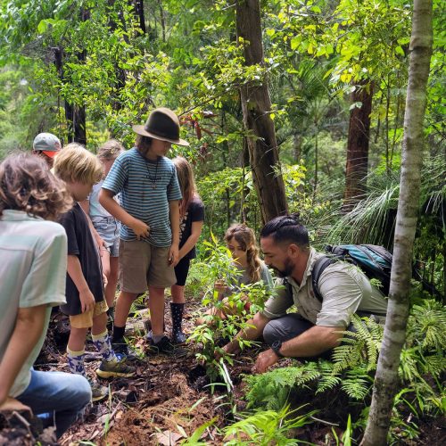 nelson-eulalio-profile4